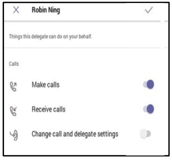 Teams setup delegate.PNG