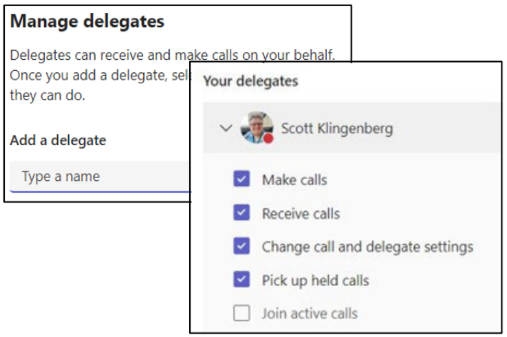 Teams setup delegate on computer.PNG