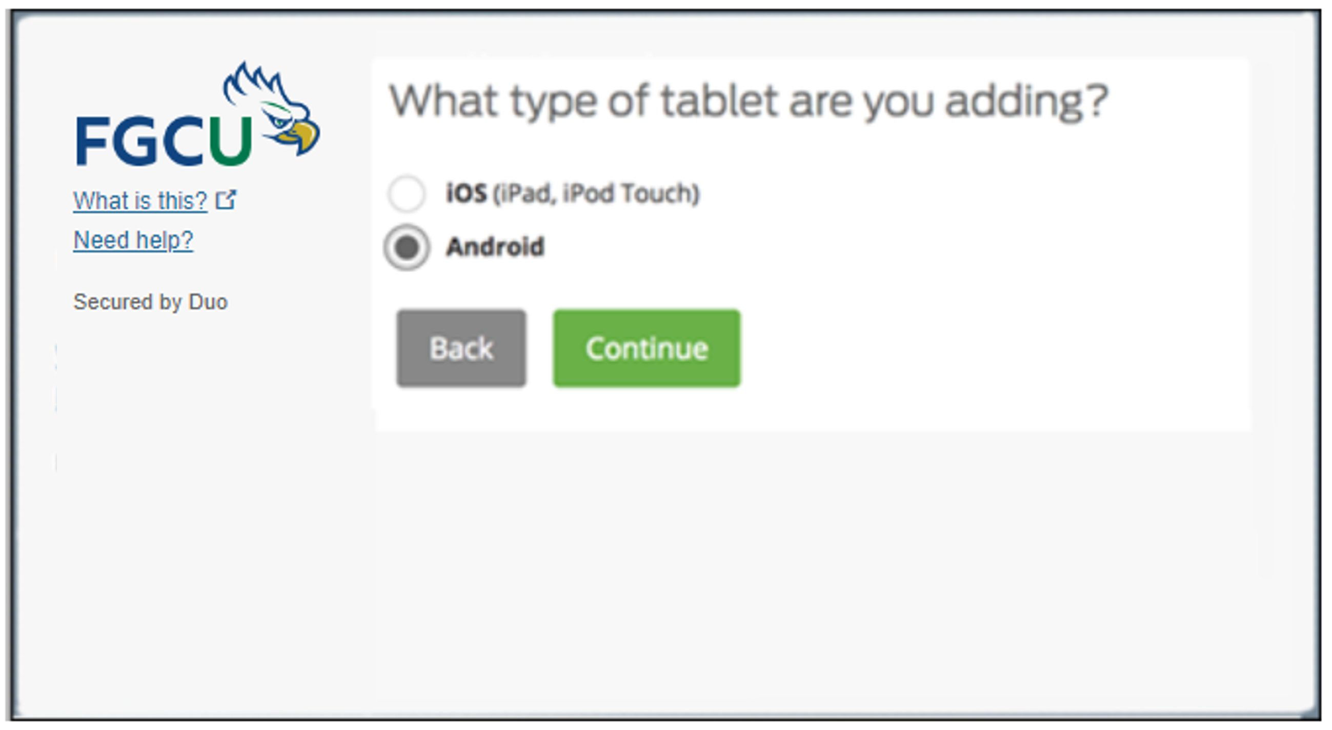 DUO - type of tablet.png