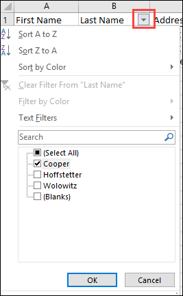 Excel_Filter_Options.png