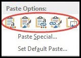 Paste_Options.jpg