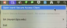 access vpn.PNG